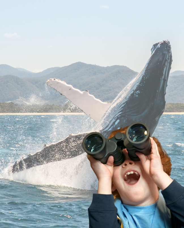 Child using binoculars to watch a whale jump out of the water